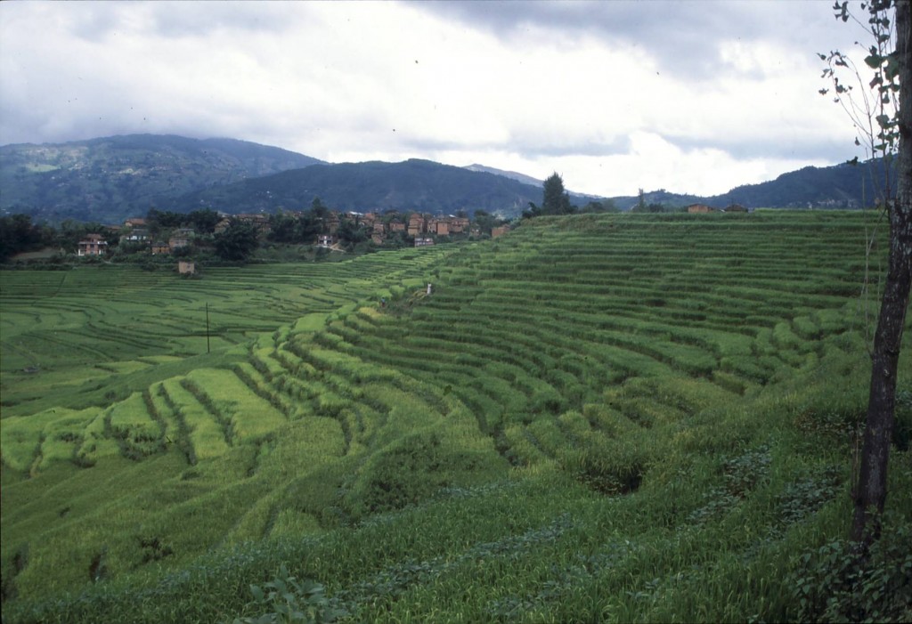 Foto de Katmandú, Nepal