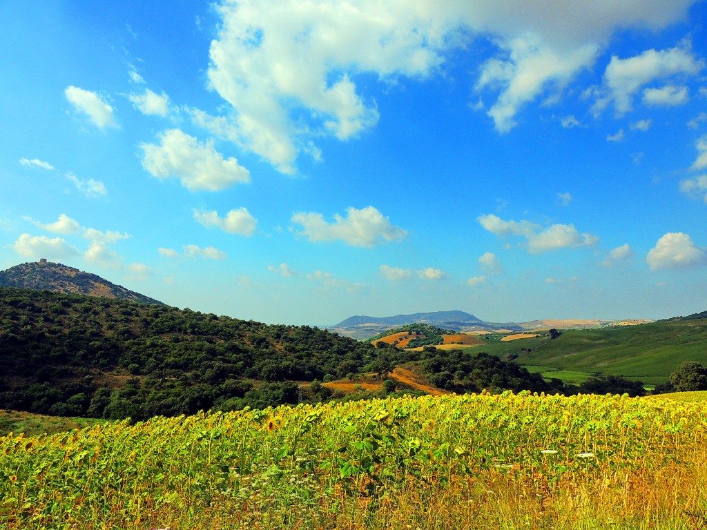 Foto: Castillo de Cote - Montellano (Sevilla), España