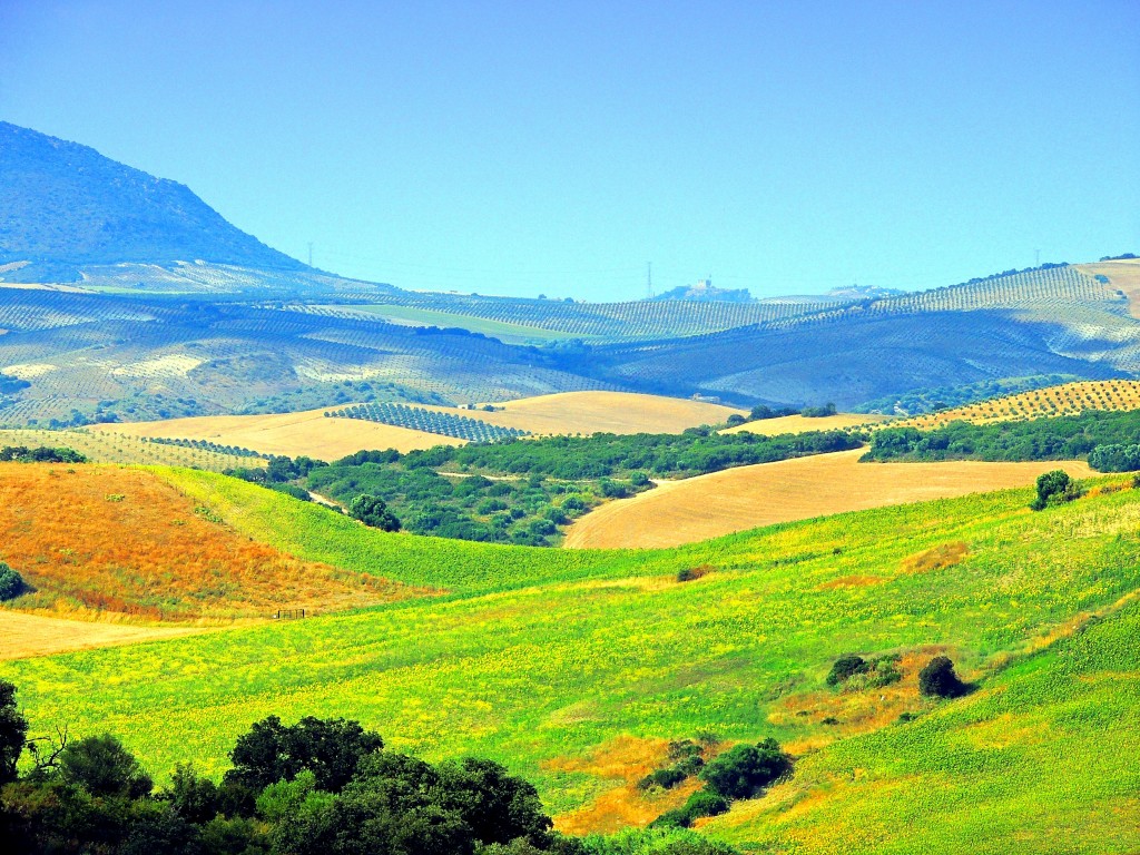 Foto: Entorno del Castillo de Cote - Montellano (Sevilla), España
