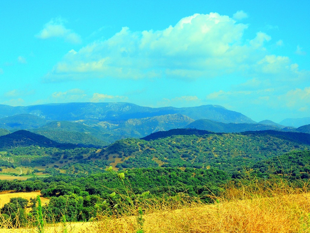 Foto: Entorno del Castillo de Cote - Montellano (Sevilla), España