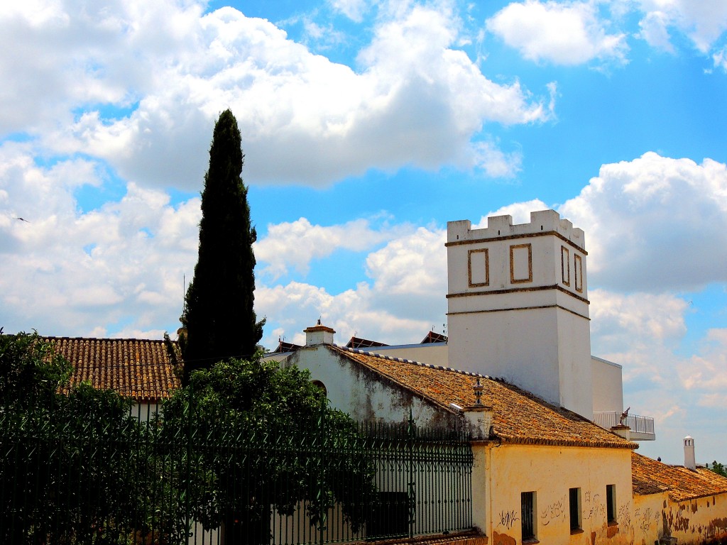 Foto: Torreta - Montellano (Sevilla), España