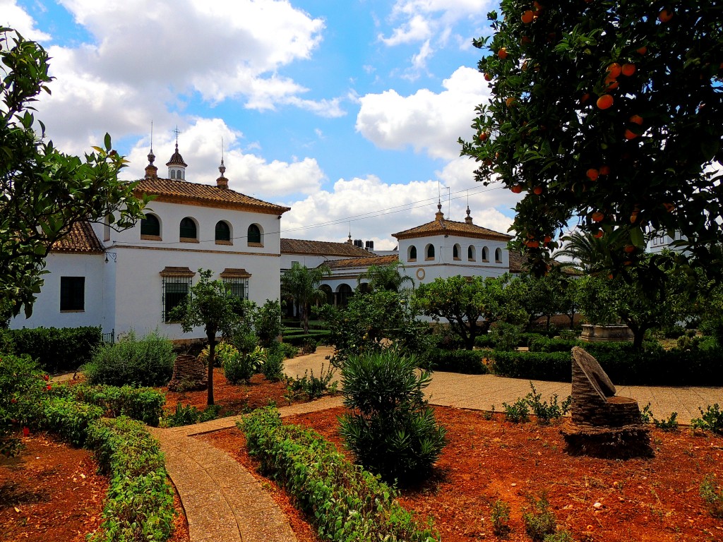 Foto: Jardines del Asilo - Montellano (Sevilla), España