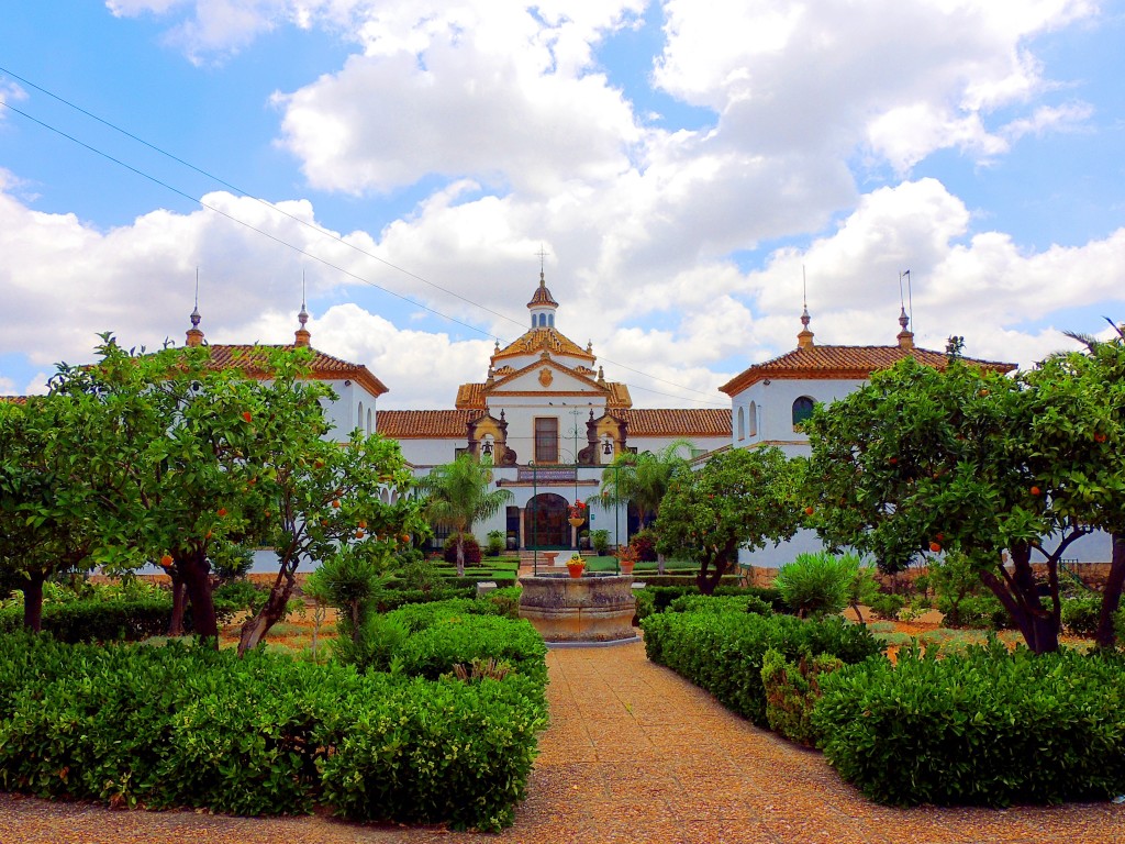 Foto de Montellano (Sevilla), España