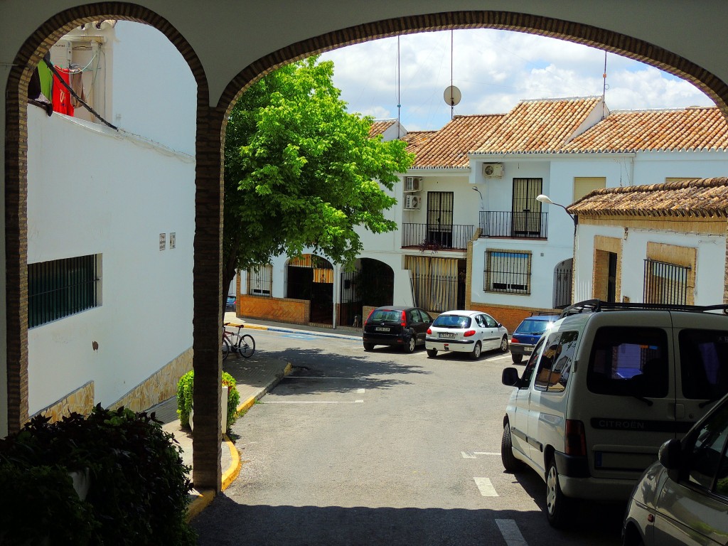 Foto: Calle Luis Braile - Montellano (Sevilla), España