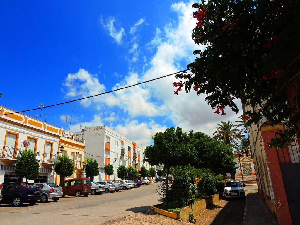 Foto: Calle Jerez - Montellano (Sevilla), España