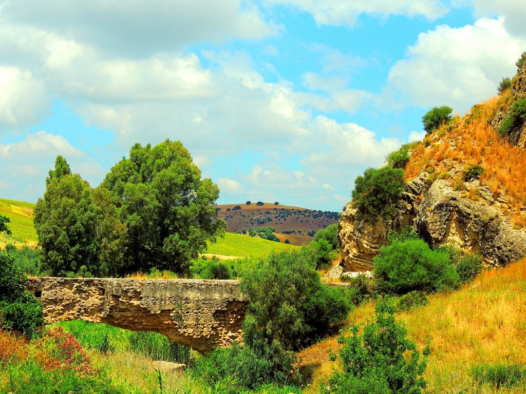 Foto de Montellano (Sevilla), España