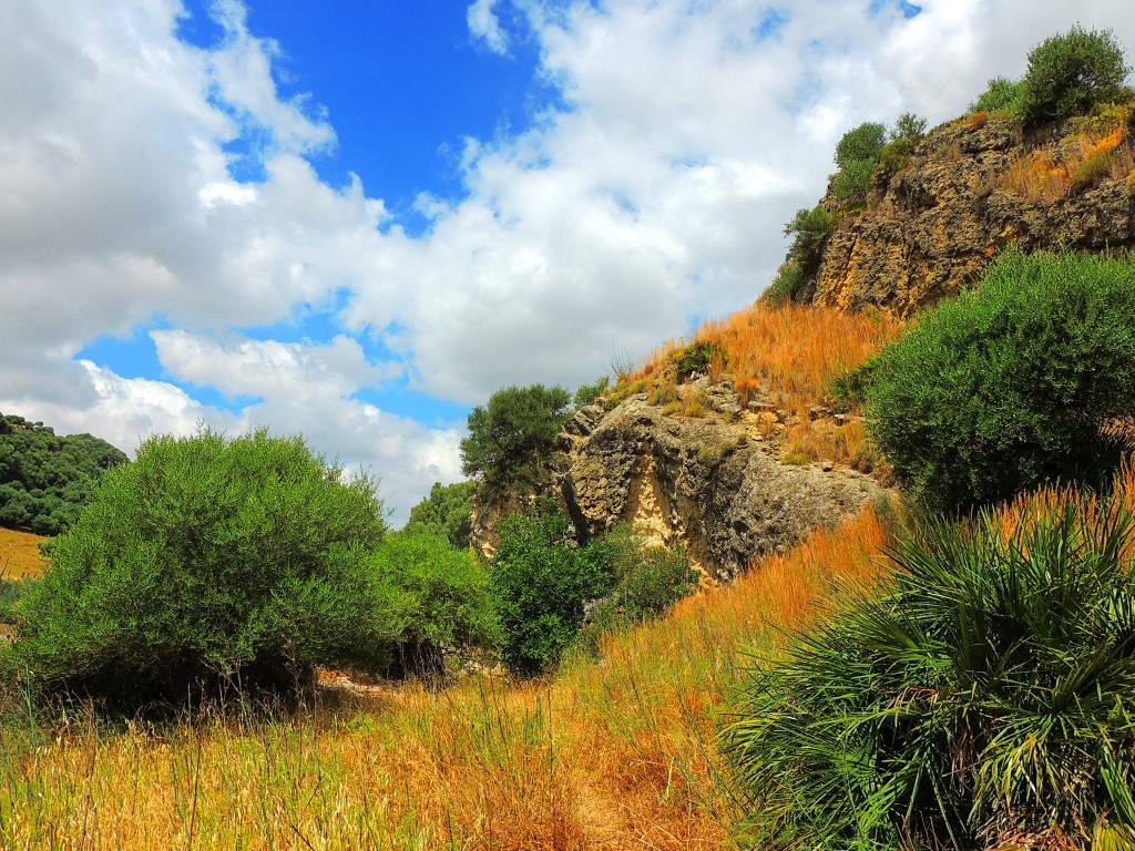 Foto de Montellano (Sevilla), España