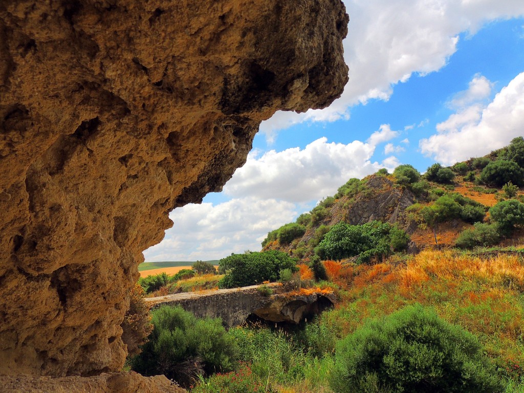 Foto de Montellano (Sevilla), España