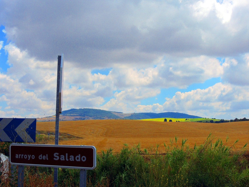 Foto de Montellano (Sevilla), España