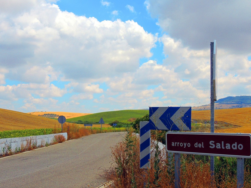 Foto: Puente sobre el Arroyo Salado - Montellano (Sevilla), España