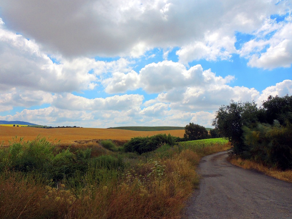 Foto de Montellano (Sevilla), España