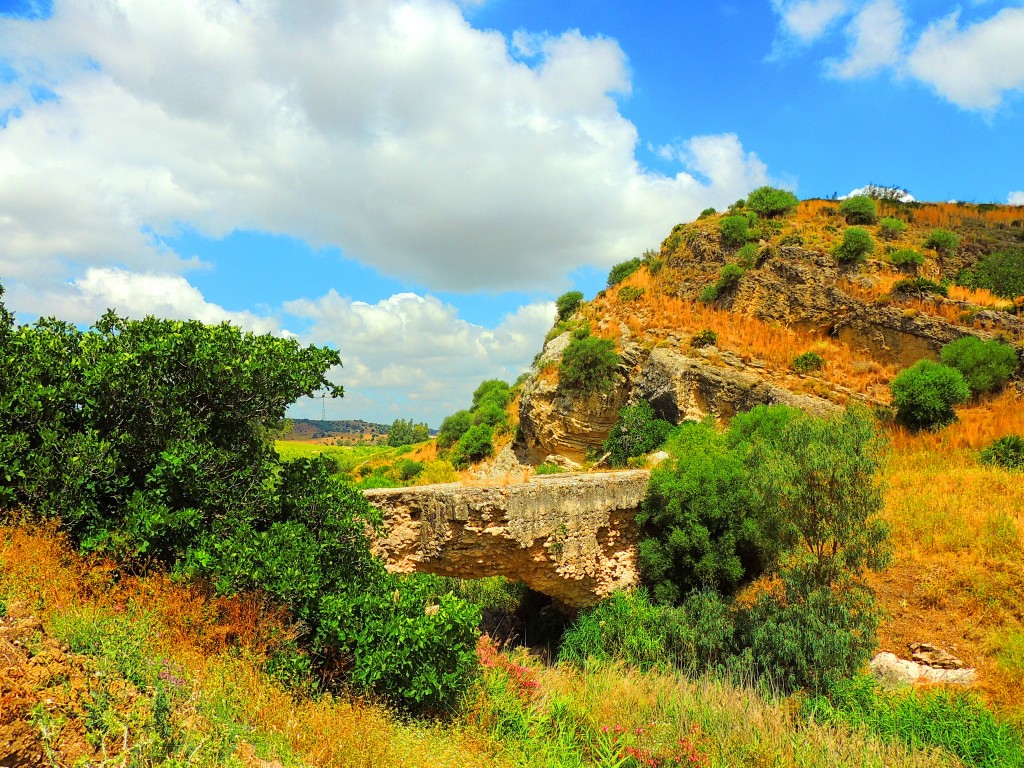 Foto de Montellano (Sevilla), España