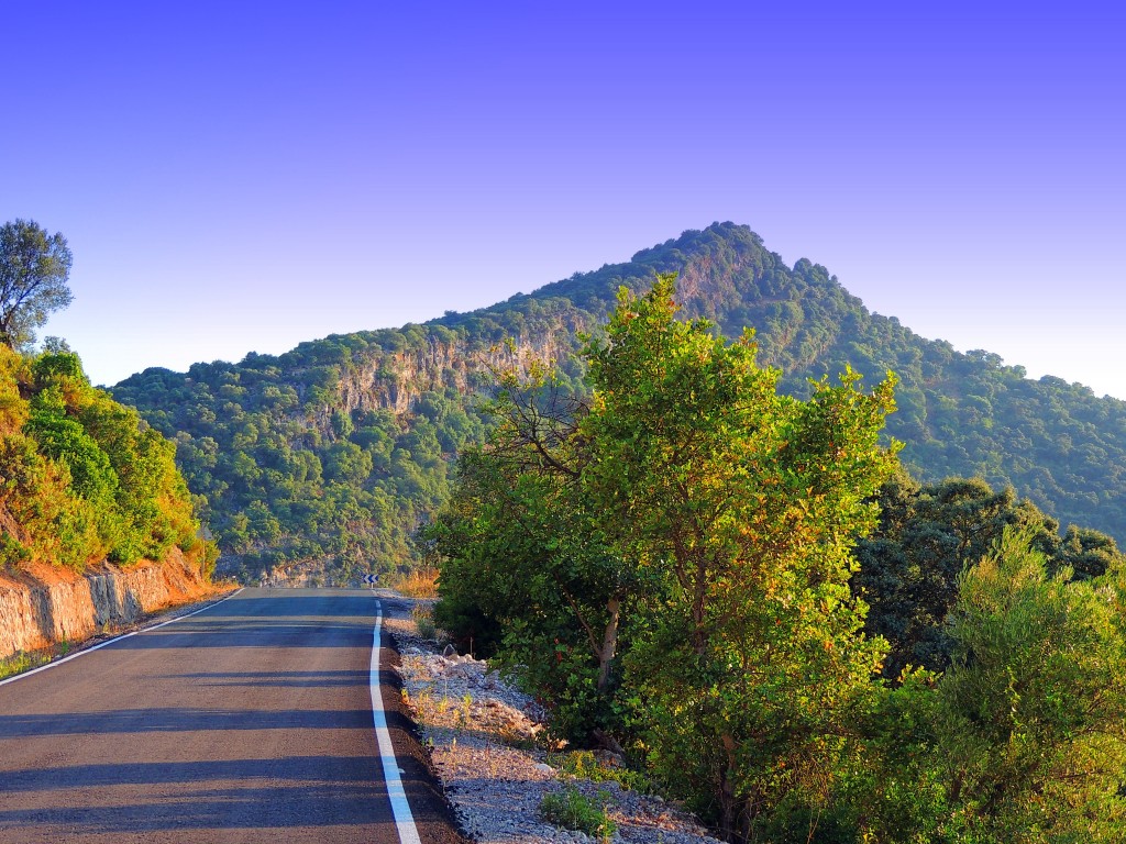 Foto: Carretera hacia Ronda - Coripe (Sevilla), España