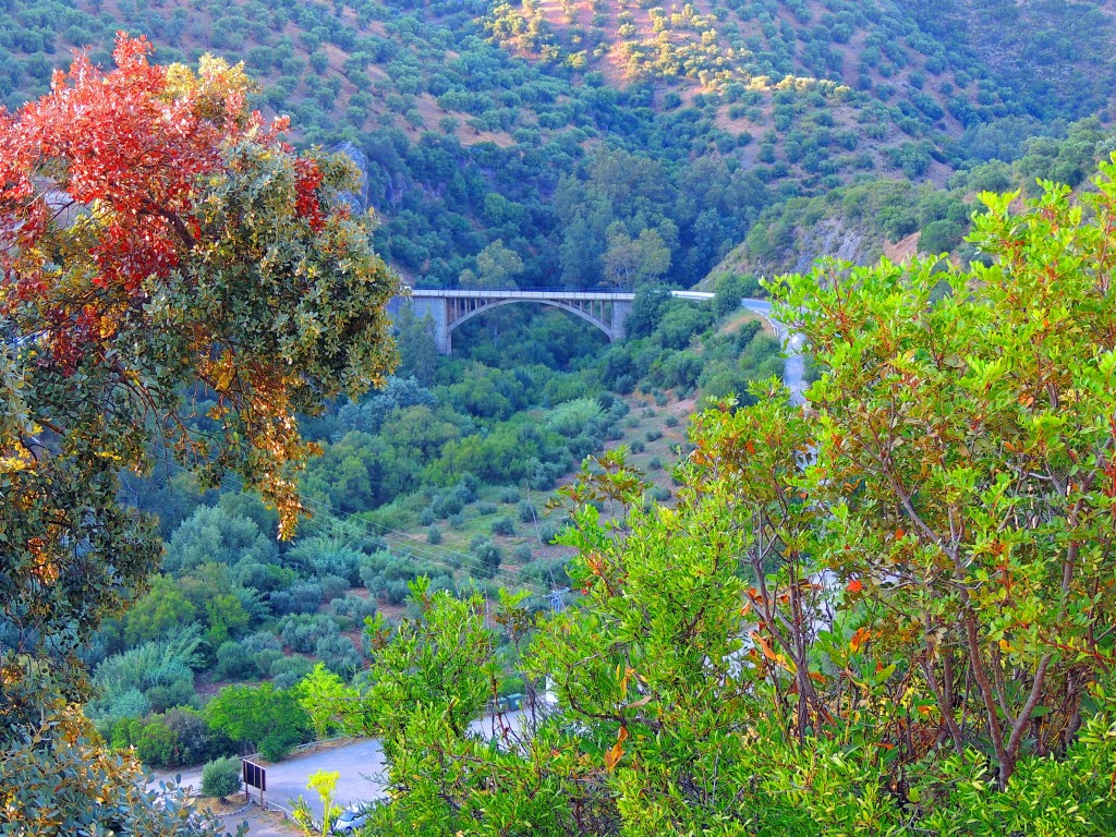 Foto de Coripe (Sevilla), España