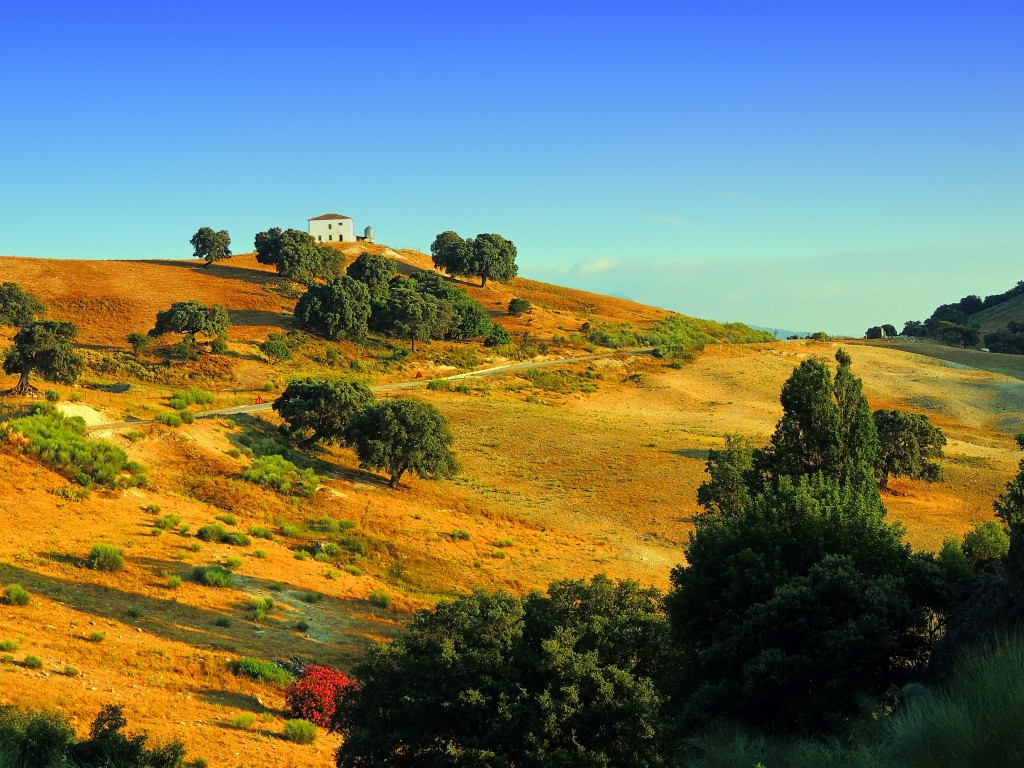 Foto de Coripe (Sevilla), España