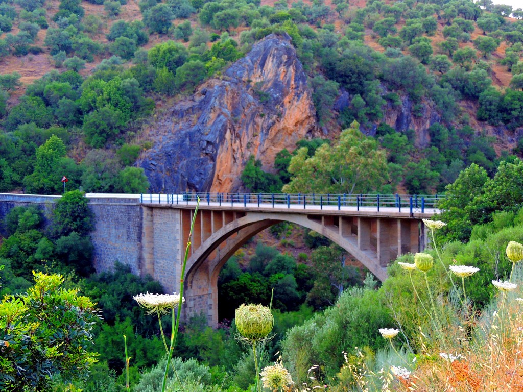 Foto: Puente sobre el Guadalporcún - Coripe (Sevilla), España