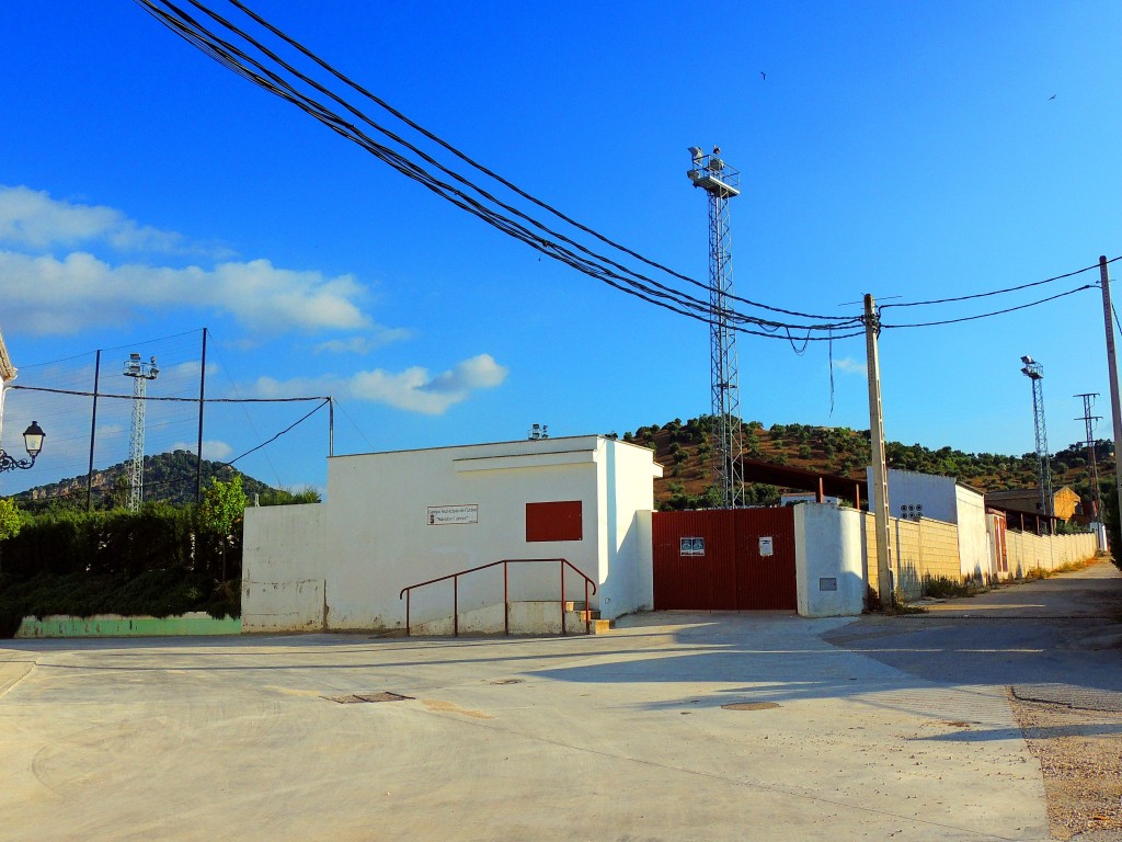 Foto: Campo Futbol Manolin Cuevas - Coripe (Sevilla), España