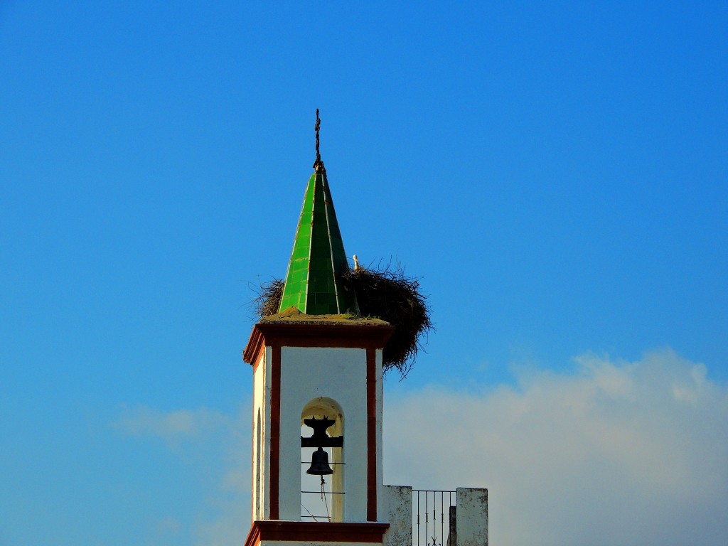 Foto: Campanario de San Pedro - Coripe (Sevilla), España