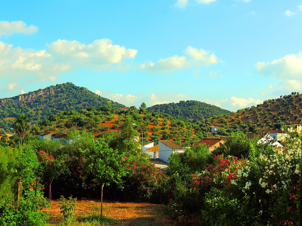 Foto: Sierras de San Juan - Coripe (Sevilla), España