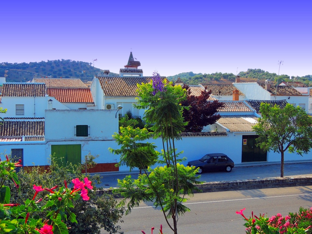 Foto: Vistas - Coripe (Sevilla), España