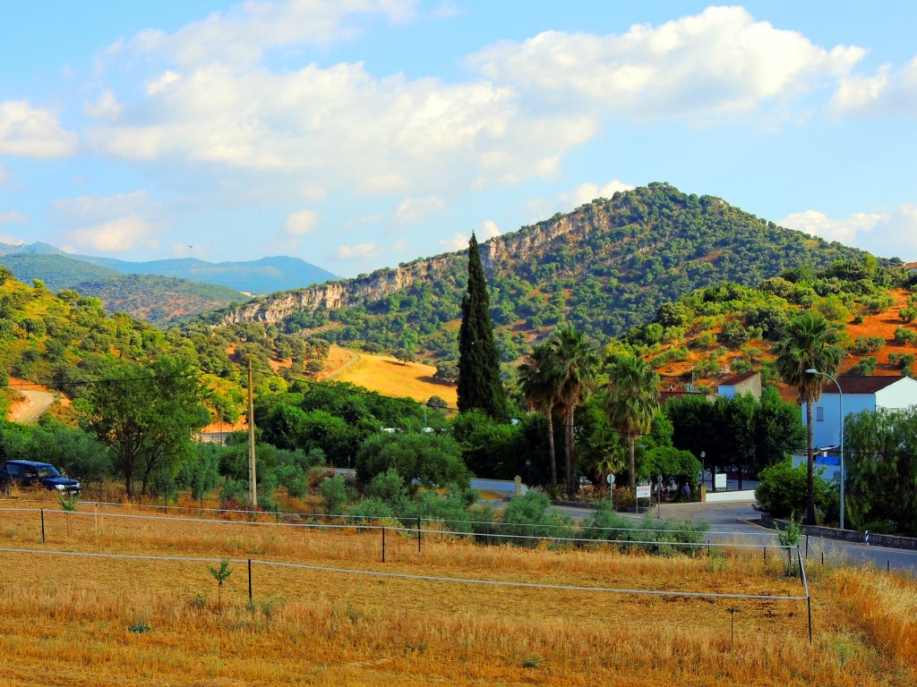 Foto: Serranía Rondeña - Coripe (Sevilla), España