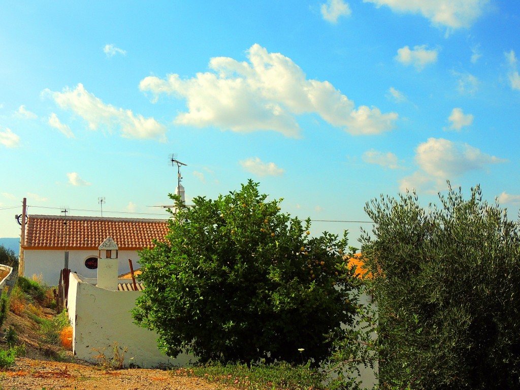 Foto de Pozo Amargo (Cádiz), España