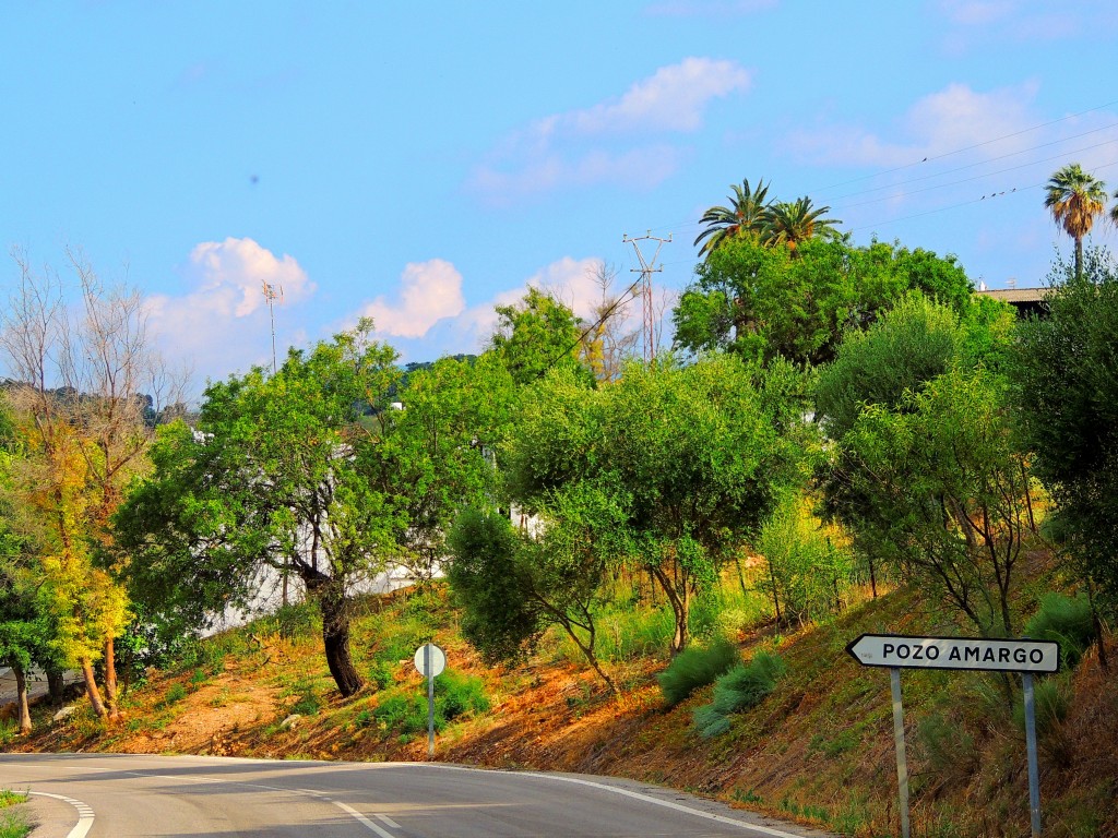 Foto de Pozo Amargo (Cádiz), España