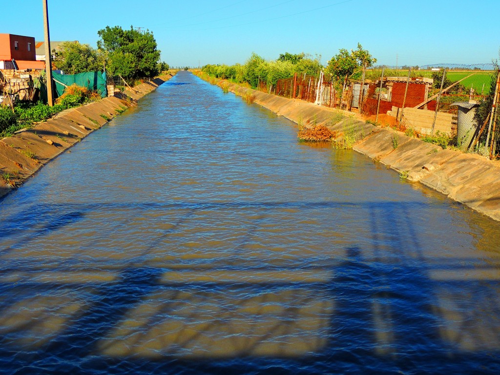 Foto: Canal Principal - Alfonso XIII (Sevilla), España