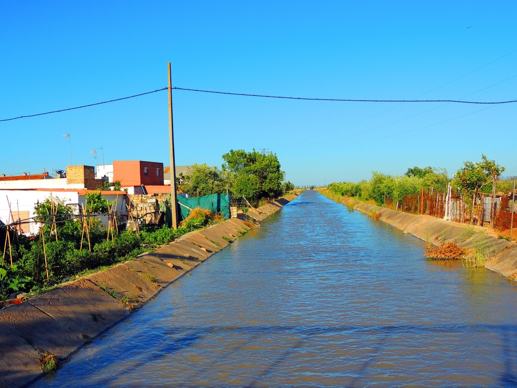 Foto: Canal Principal - Alfonso XIII (Sevilla), España