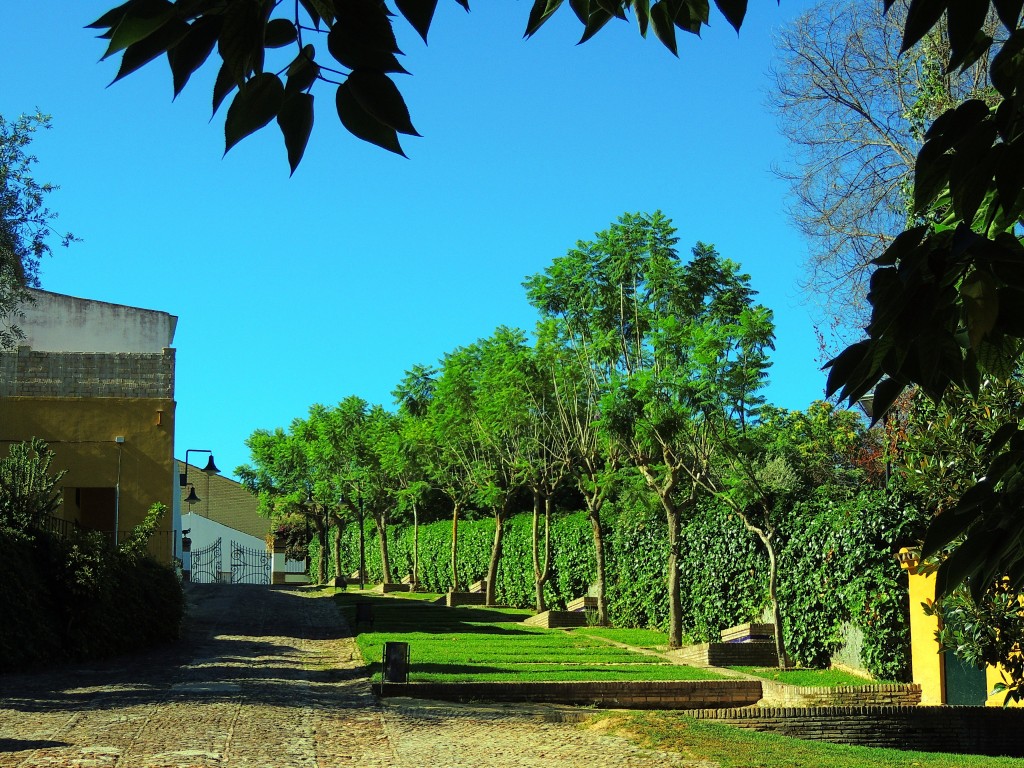 Foto: Parque de la Fuente Vieja - Aznalcazar (Sevilla), España