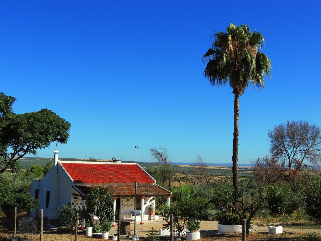 Foto: Los Baños - Aznalcazar (Sevilla), España