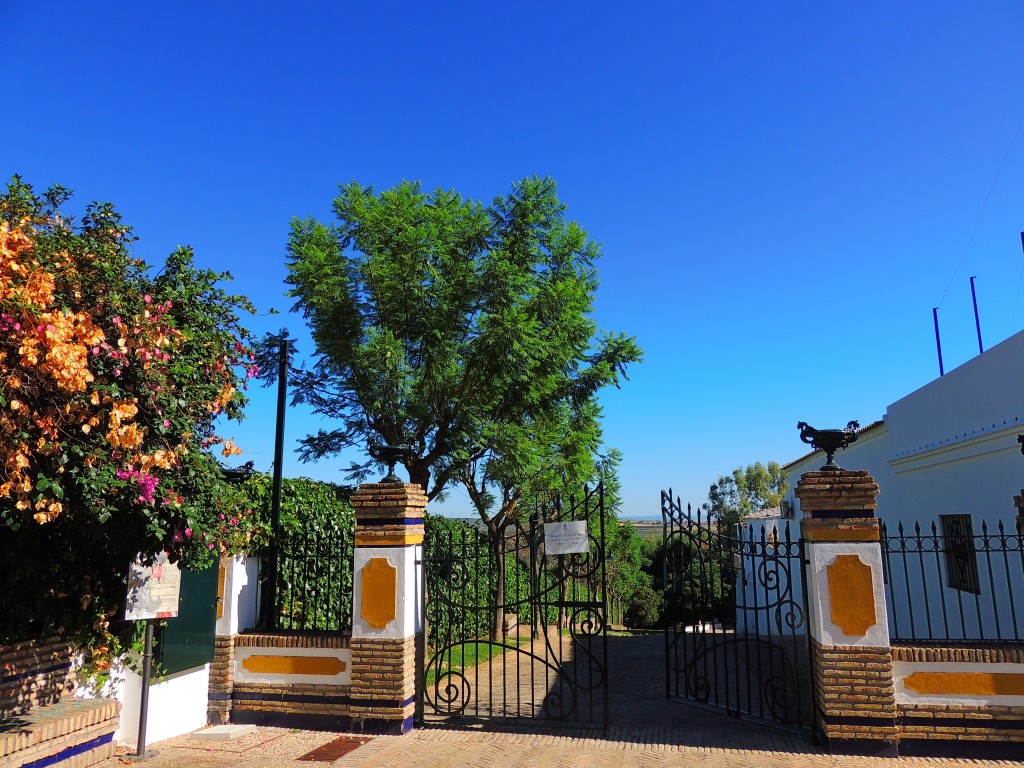 Foto: Entrada al Parque de la Fuente - Aznalcazar (Sevilla), España