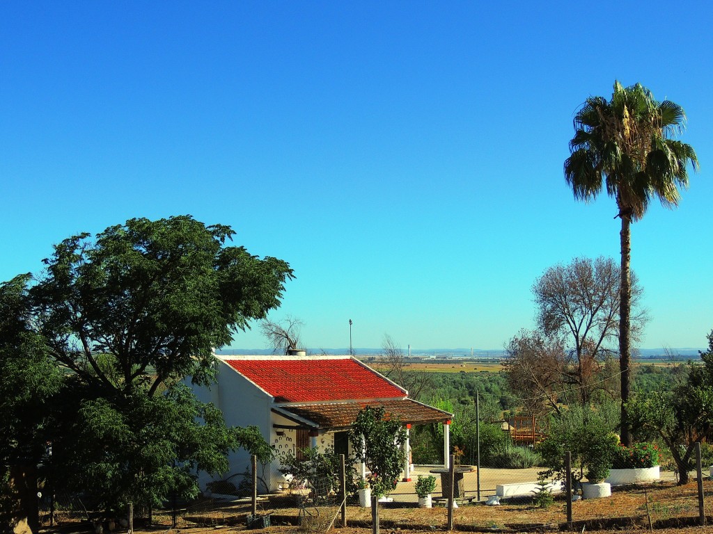Foto: Los Baños - Aznalcazar (Sevilla), España