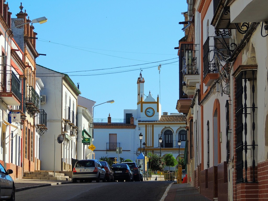 Foto: Avenida Juan Carlos Primero - Aznalcazar (Sevilla), España