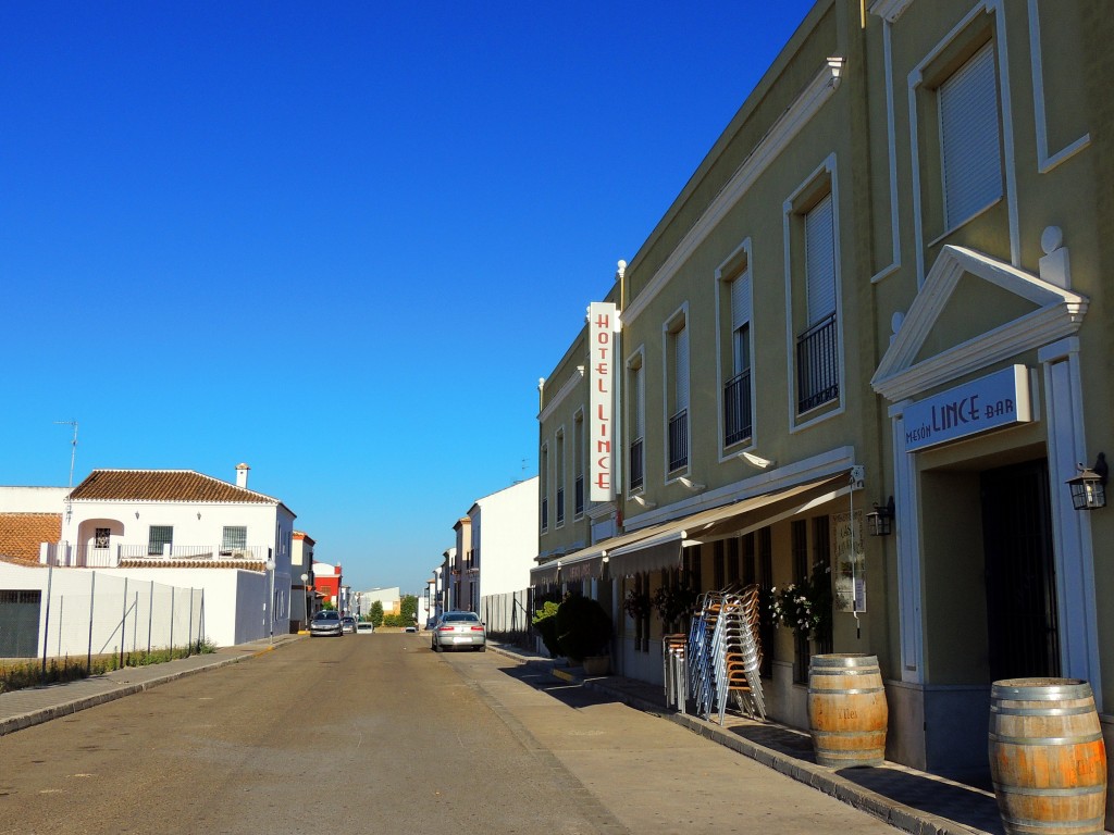 Foto: Hotel Lince - Aznalcazar (Sevilla), España