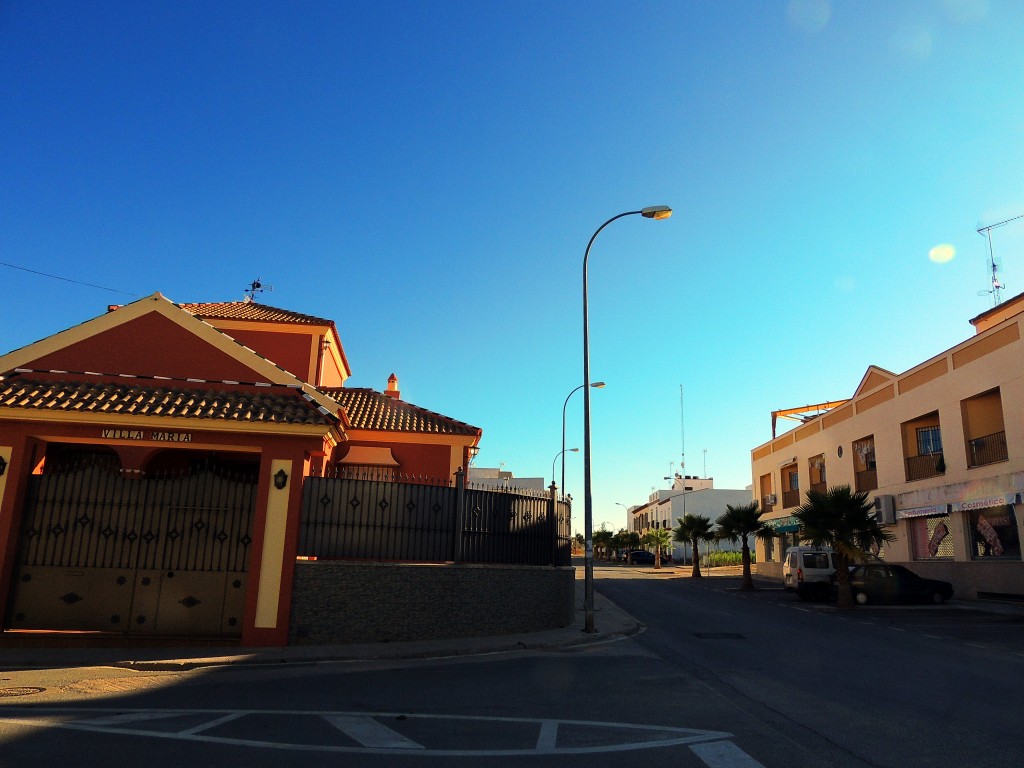 Foto: Avdª de Benacazón - Aznalcazar (Sevilla), España