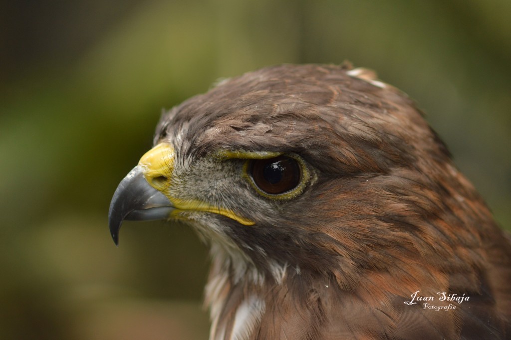 Foto de San José, Costa Rica
