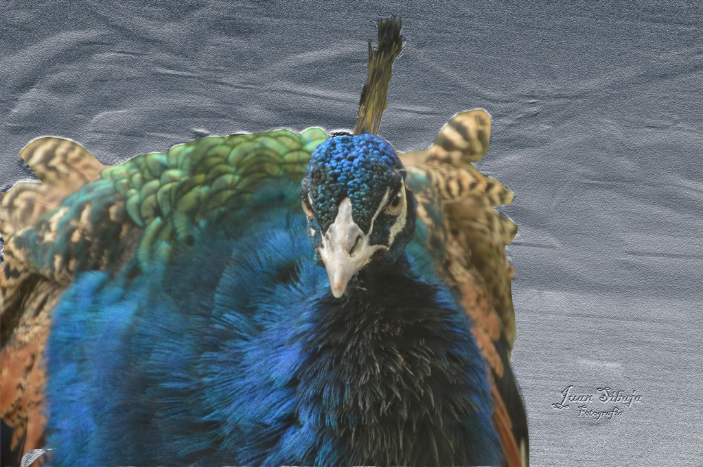 Foto de San José, Costa Rica