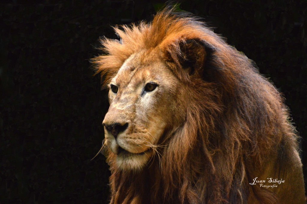 Foto de San José, Costa Rica