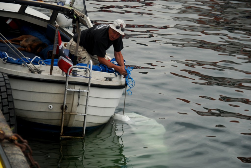 Foto de Bergen, Noruega