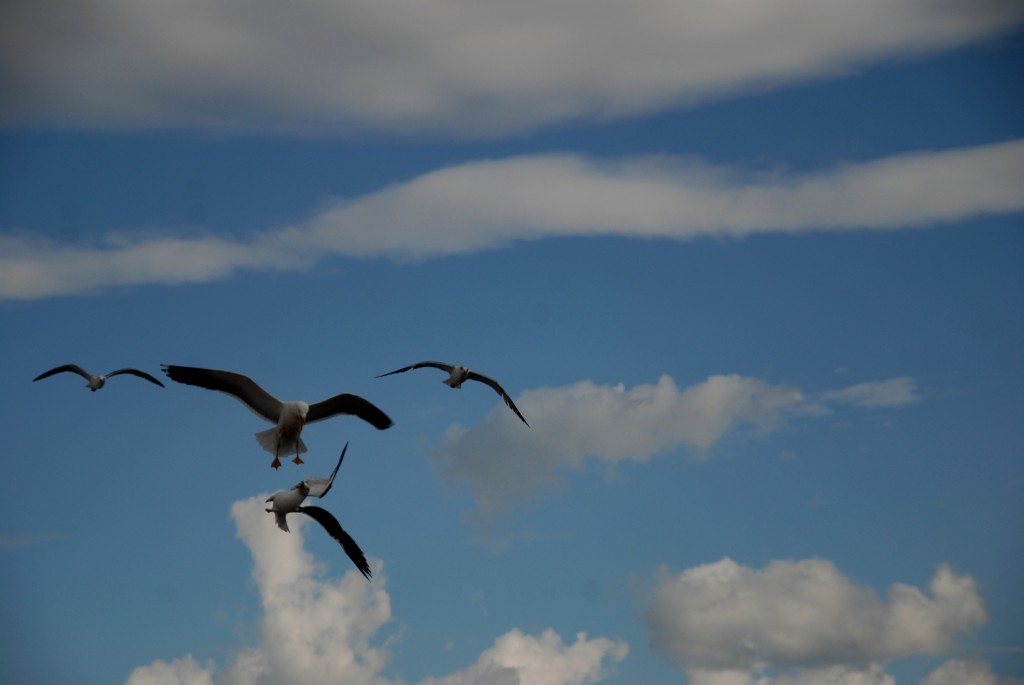 Foto de Stavanger, Noruega