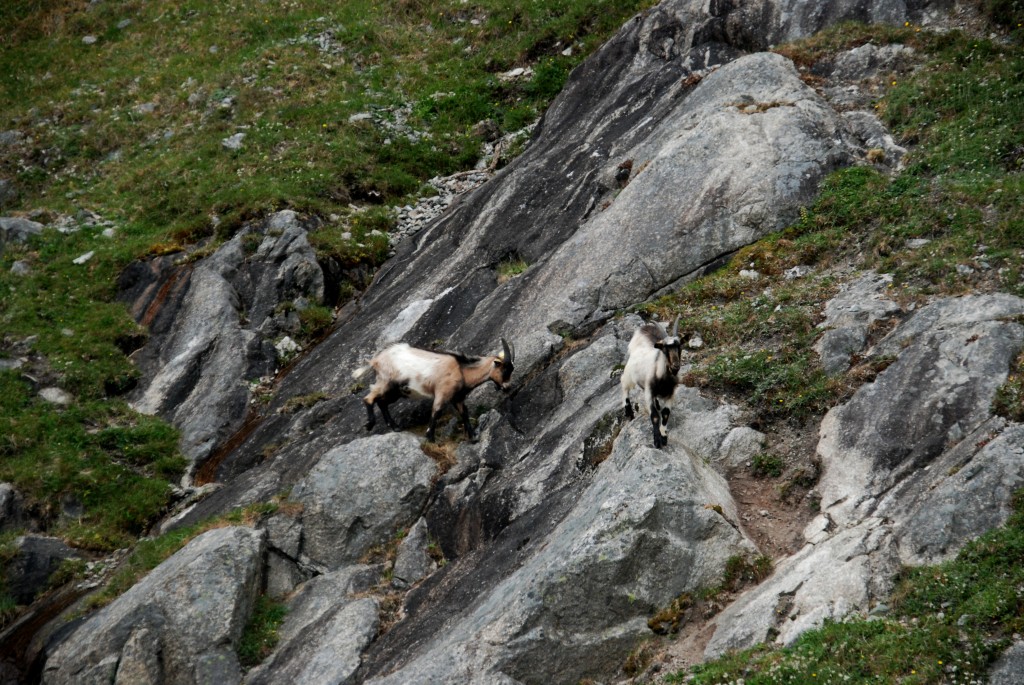 Foto de Stavanger, Noruega