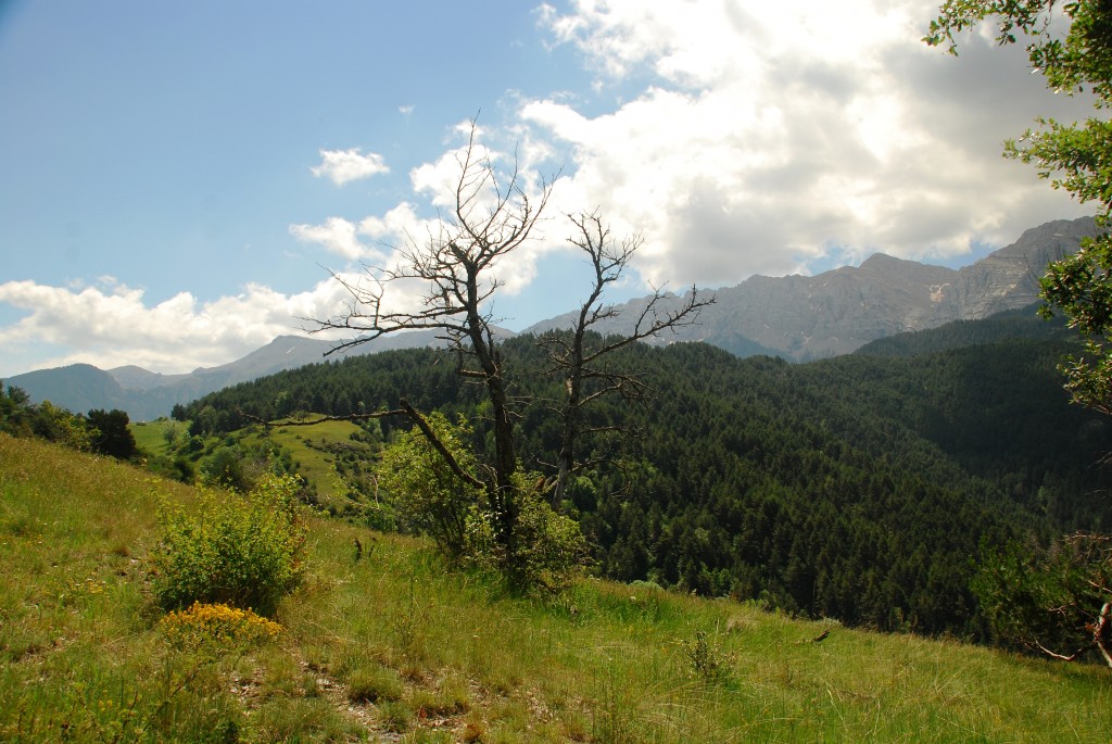 Foto de La Serra del Cadí (Lleida), España