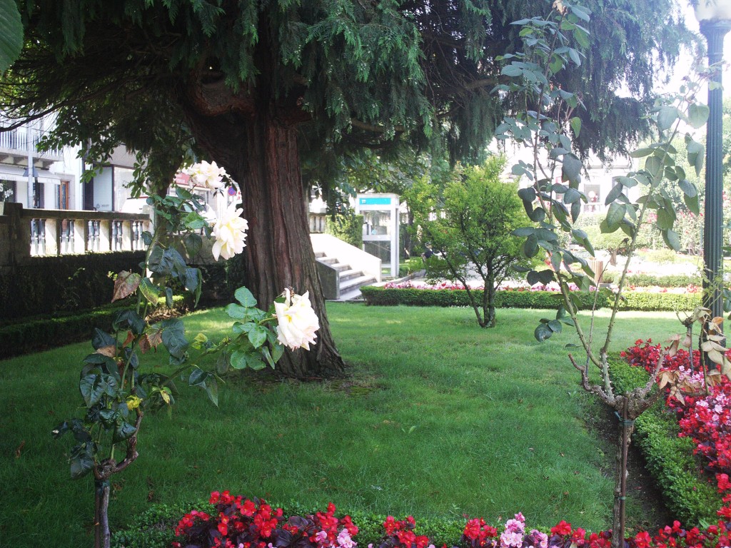 Foto de Vizela, Portugal