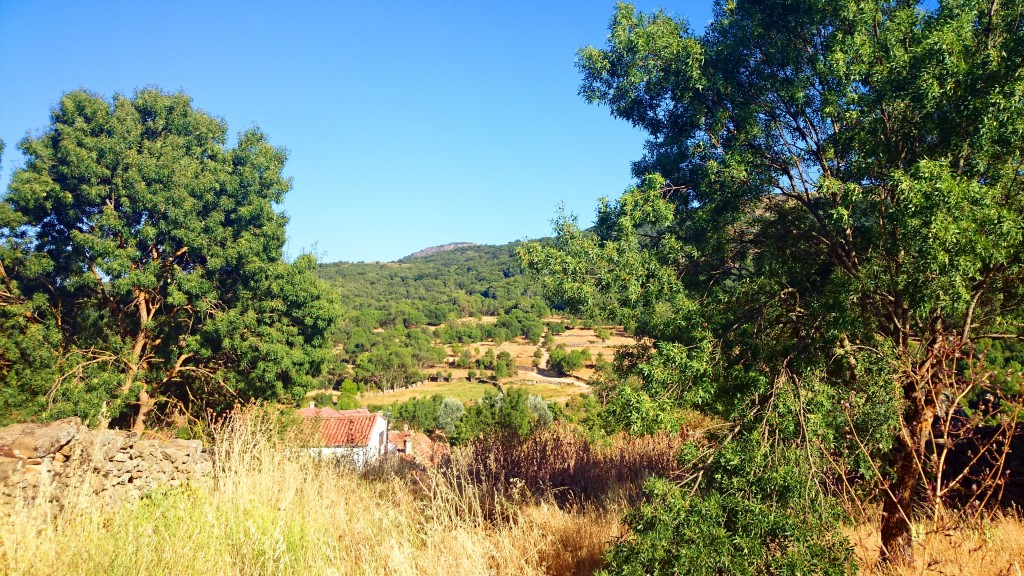 Foto: Paisaje - Sorihuela (Salamanca), España