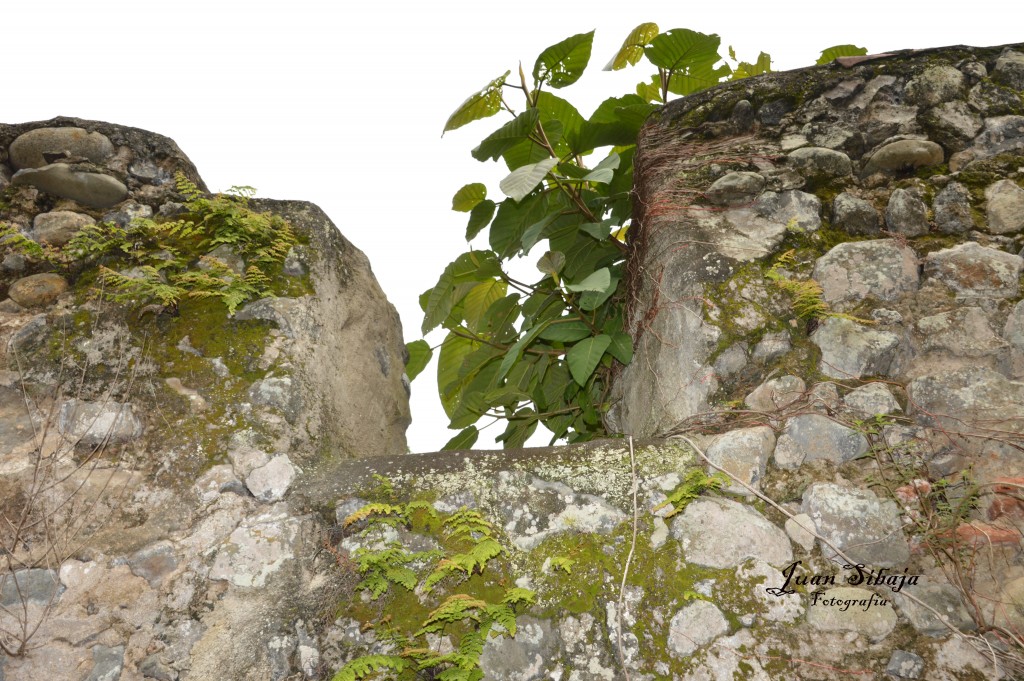 Foto de Cartago, Costa Rica