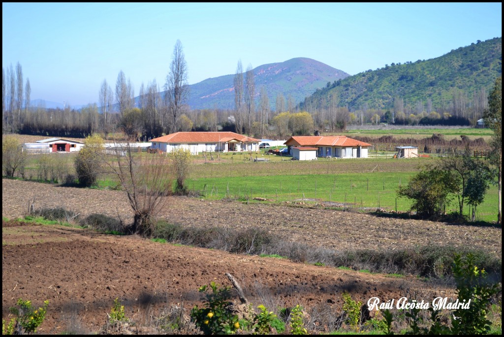 Foto de Doñihue (Libertador General Bernardo OʼHiggins), Chile