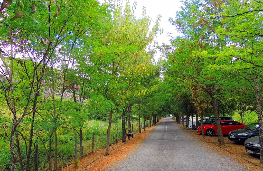 Foto de Ansó (Huesca), España