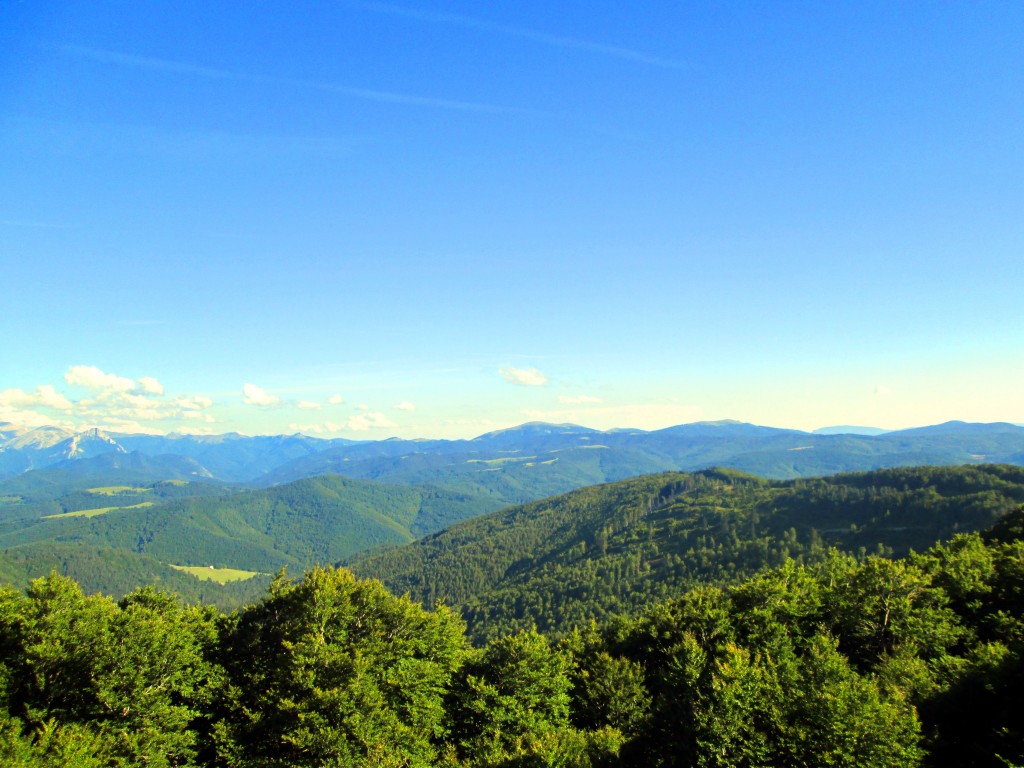 Foto de Izalzu (Navarra), España