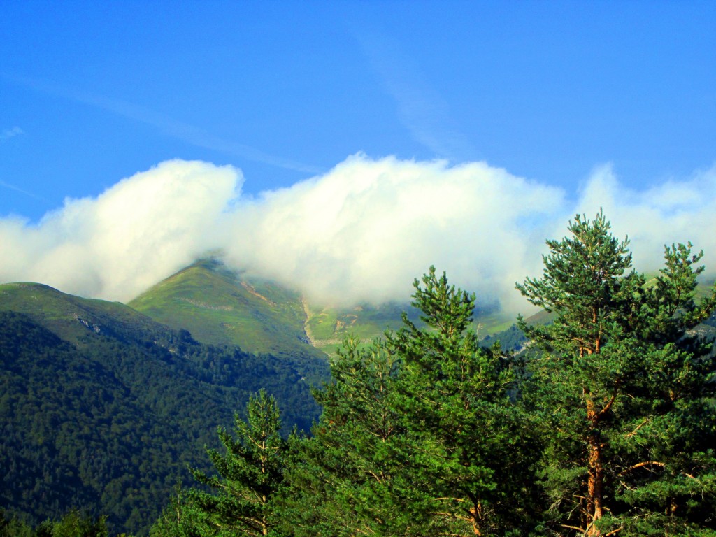 Foto de Izalzu (Navarra), España